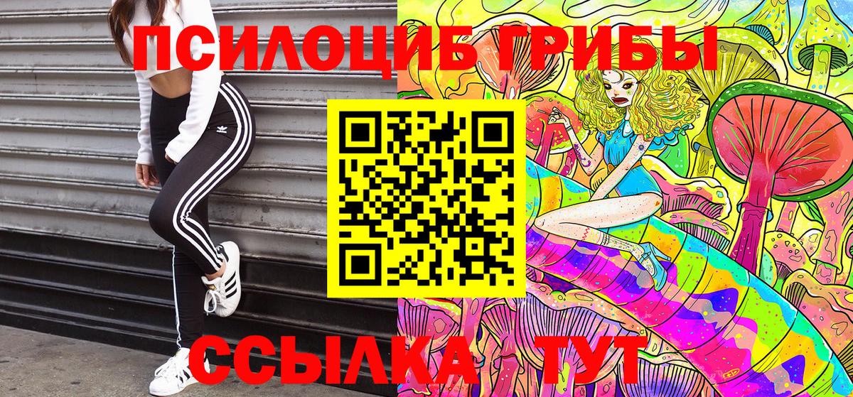 Берёзовский  Галлюциногенные грибы прущие грибы  Галлюциногенные грибы мухоморы  Вход с VPN 